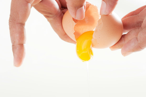 yolk