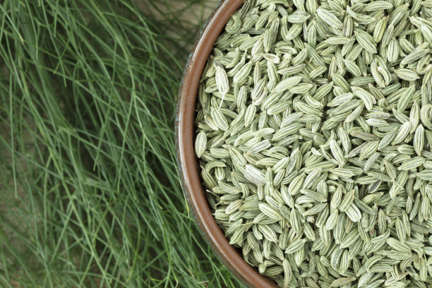 fennel