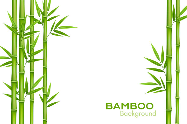 bamboo