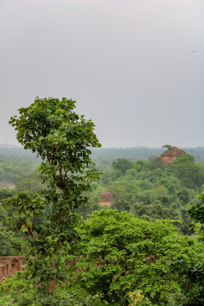 orchha