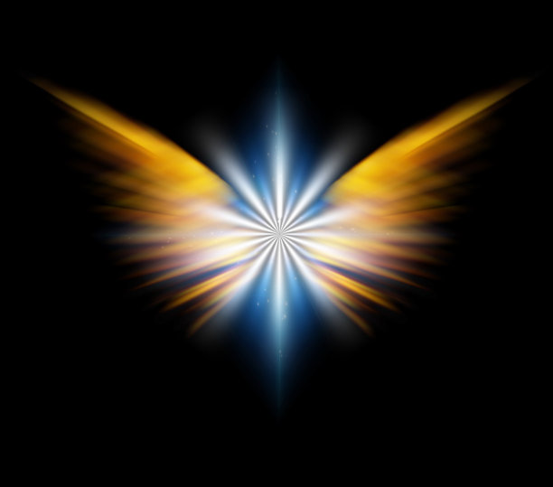 wings