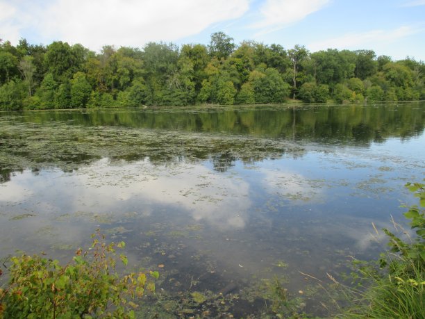 chantilly