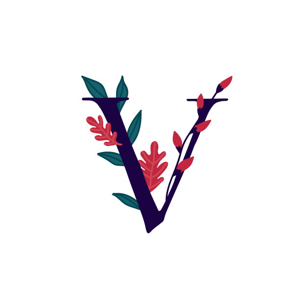 v字logo