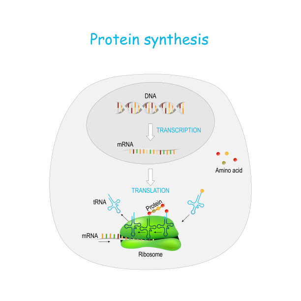 rna