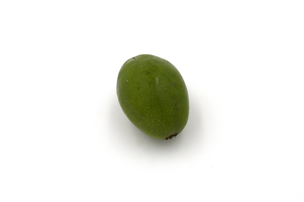 spondias