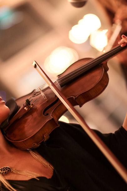 violin