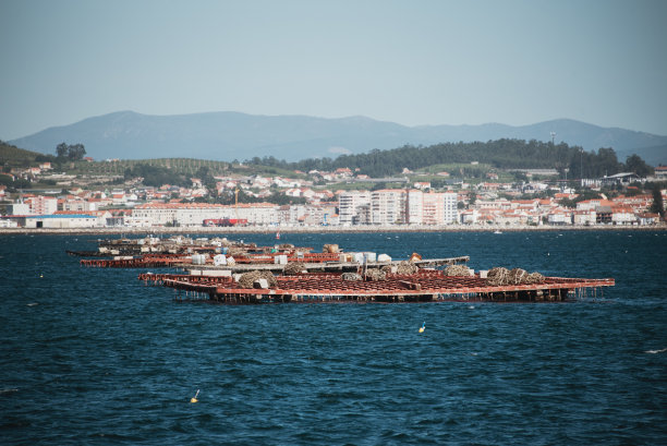 vigo