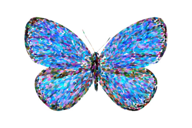 morpho