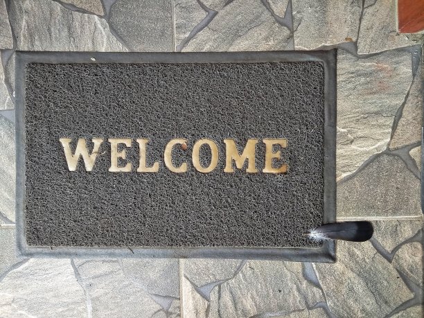 欢迎光临门口垫