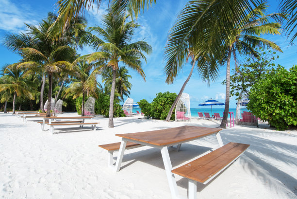 芭蕉叶沙发背景