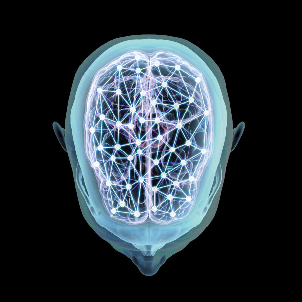 cerebrum