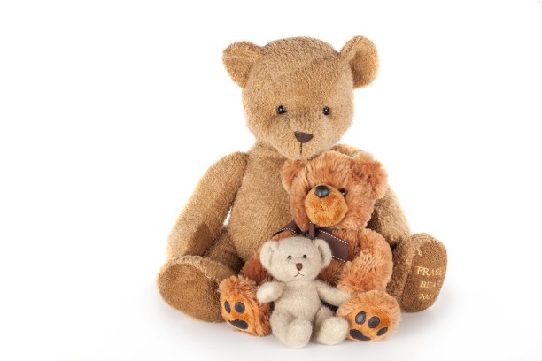 teddy