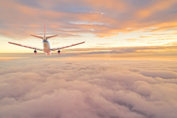 全国生态日背景