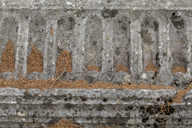 architrave
