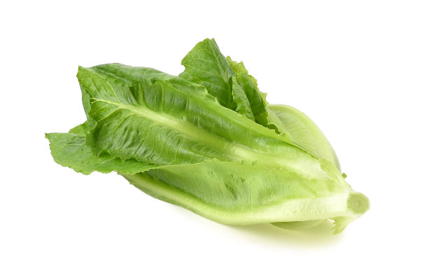 romaine