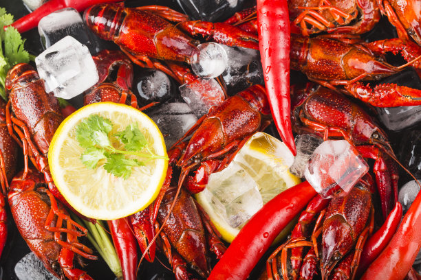 mudbugs