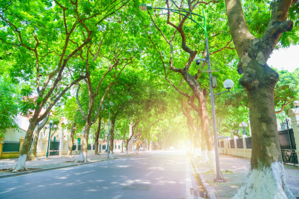 avenue