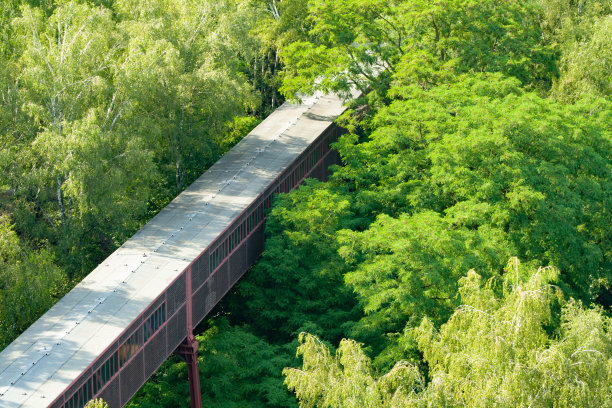 skywalk