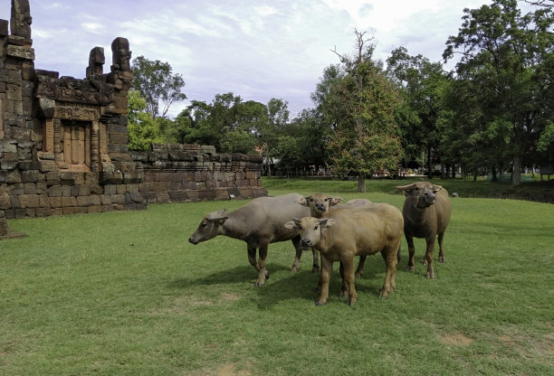 buriram