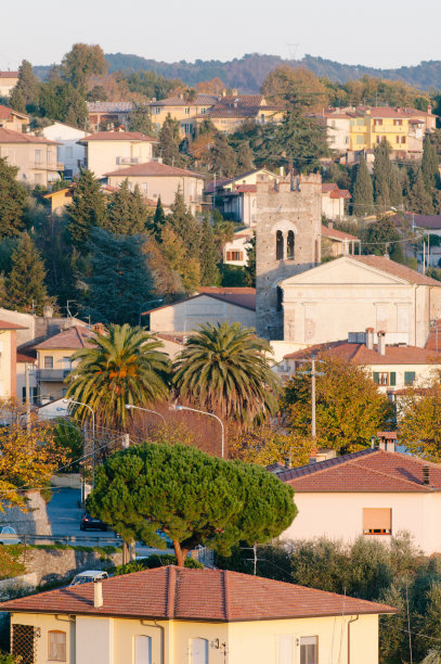 viareggio