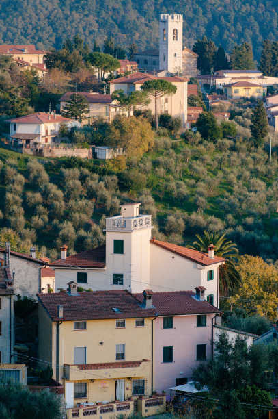 viareggio