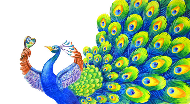 peacock