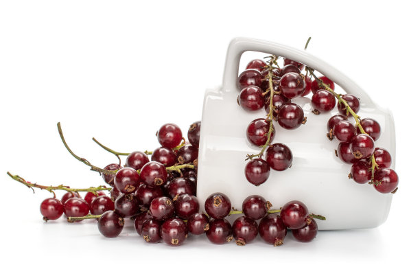 redcurrant