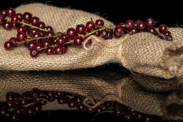 redcurrant