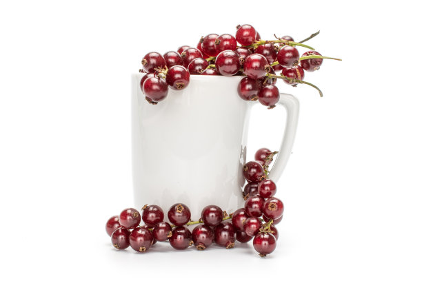 redcurrant