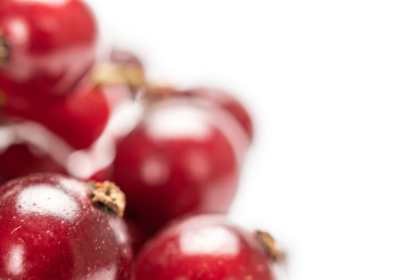 redcurrant