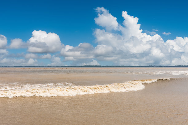 tide