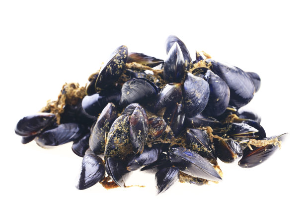 mussels
