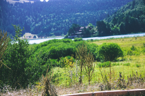bolu