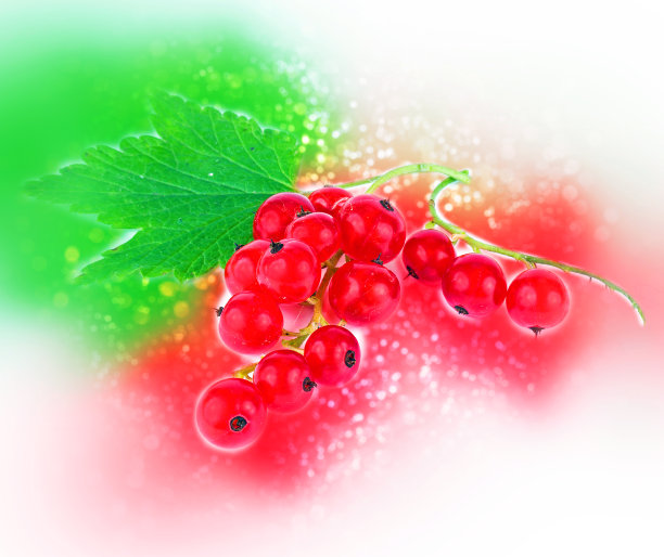 redcurrant