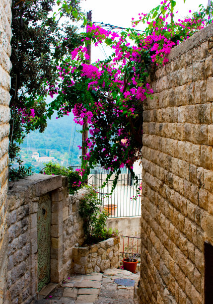 druze