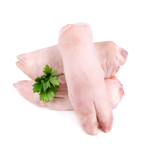 trotter