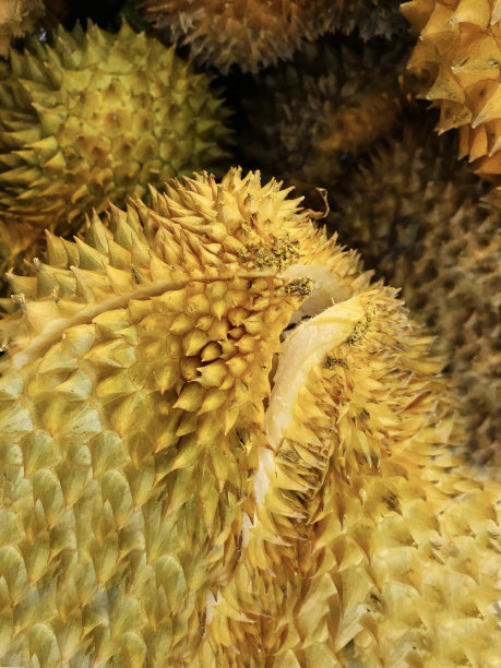 健康中国宣传栏