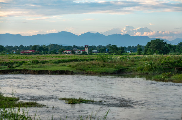 chitwan