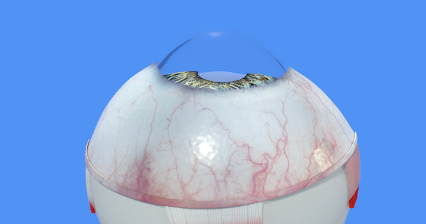 retina