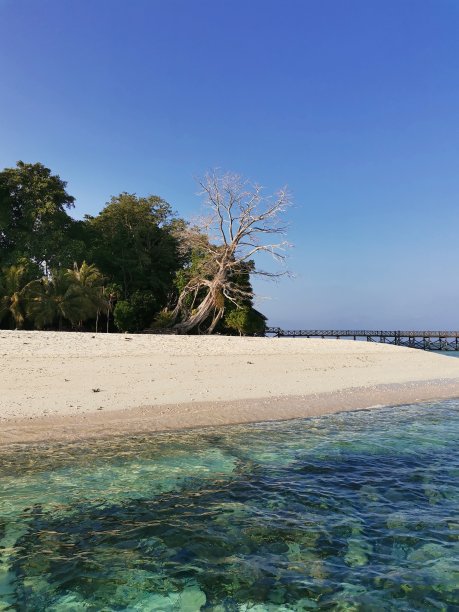 borneo