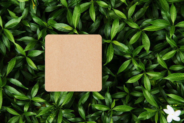 清新绿色方块背景图案