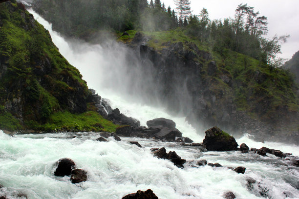voss