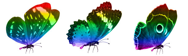 morpho