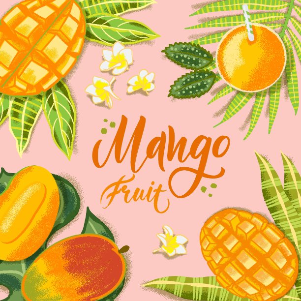 芒果插画