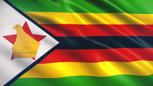 zimbabwean