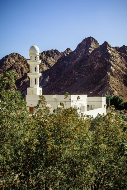muscat