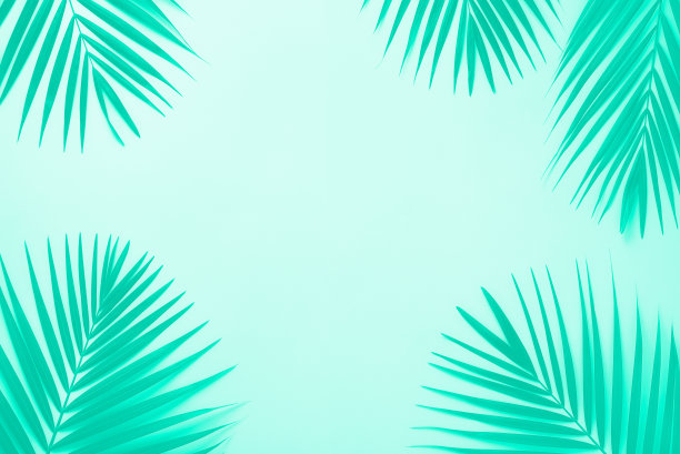 清新蓝绿棕榈叶图案背景