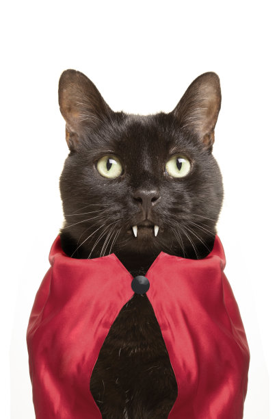 vampire