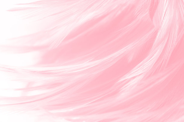 羽毛 高光 粉色