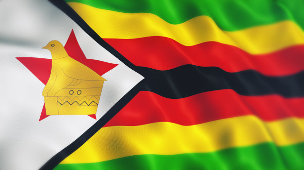 zimbabwean